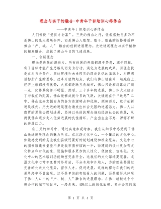 理念与实干的融合-中青年干部培训心得体会