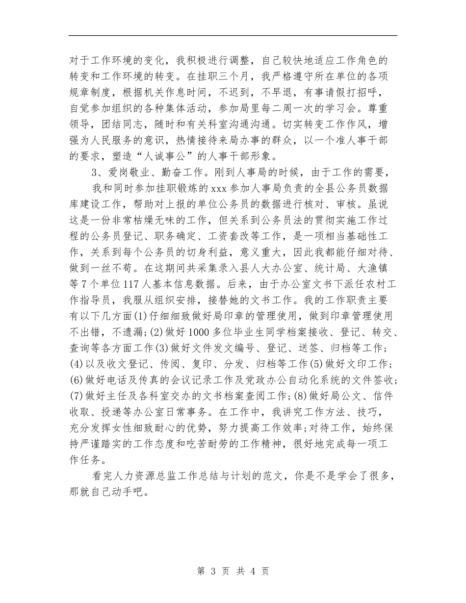 2024年人力资源总监工作总结范文与计划_第3页