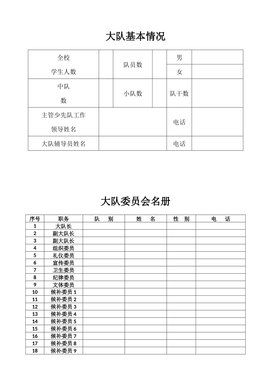 某小学大队委员会工作手册_第2页