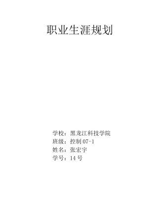 张宏宇职业生涯规划