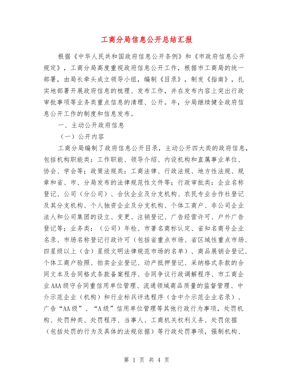 工商分局信息公开总结汇报_第1页