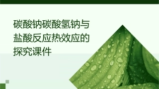 碳酸钠碳酸氢钠与盐酸反应热效应的探究课件