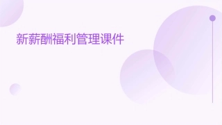 新薪酬福利管理课件