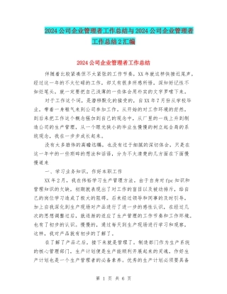 2024公司企业管理者工作总结与2024公司企业管理者工作总结2汇编