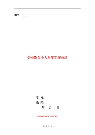 企业新员个人月度工作总结