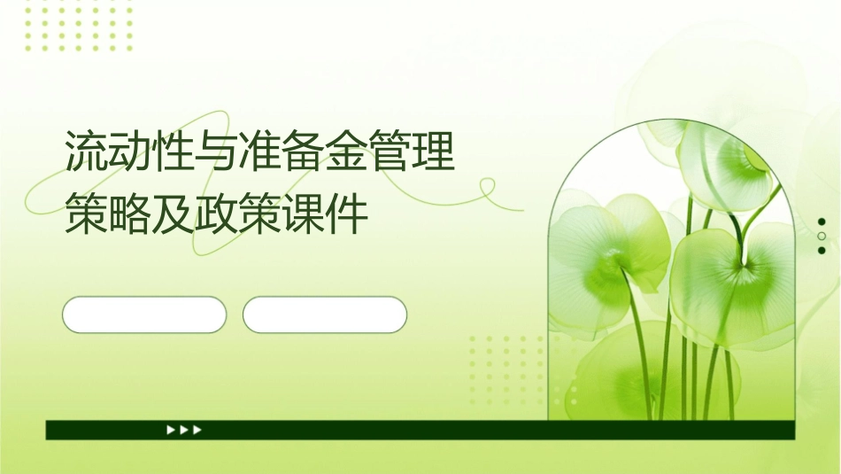 流动性与准备金管理策略及政策课件_第1页