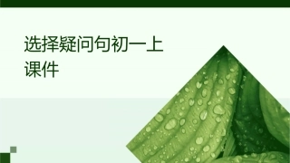 选择疑问句初一上课件