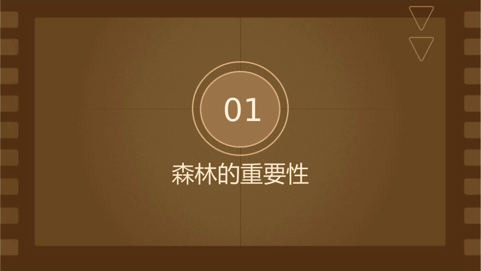 高三一轮复习森林的开发和保护课件_第3页