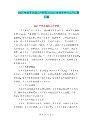 2024年全乡农业工作计划与2024年全乡审计工作打算汇编