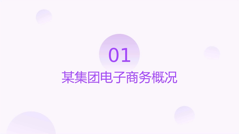 某集团电子商务运营方案课件_第3页