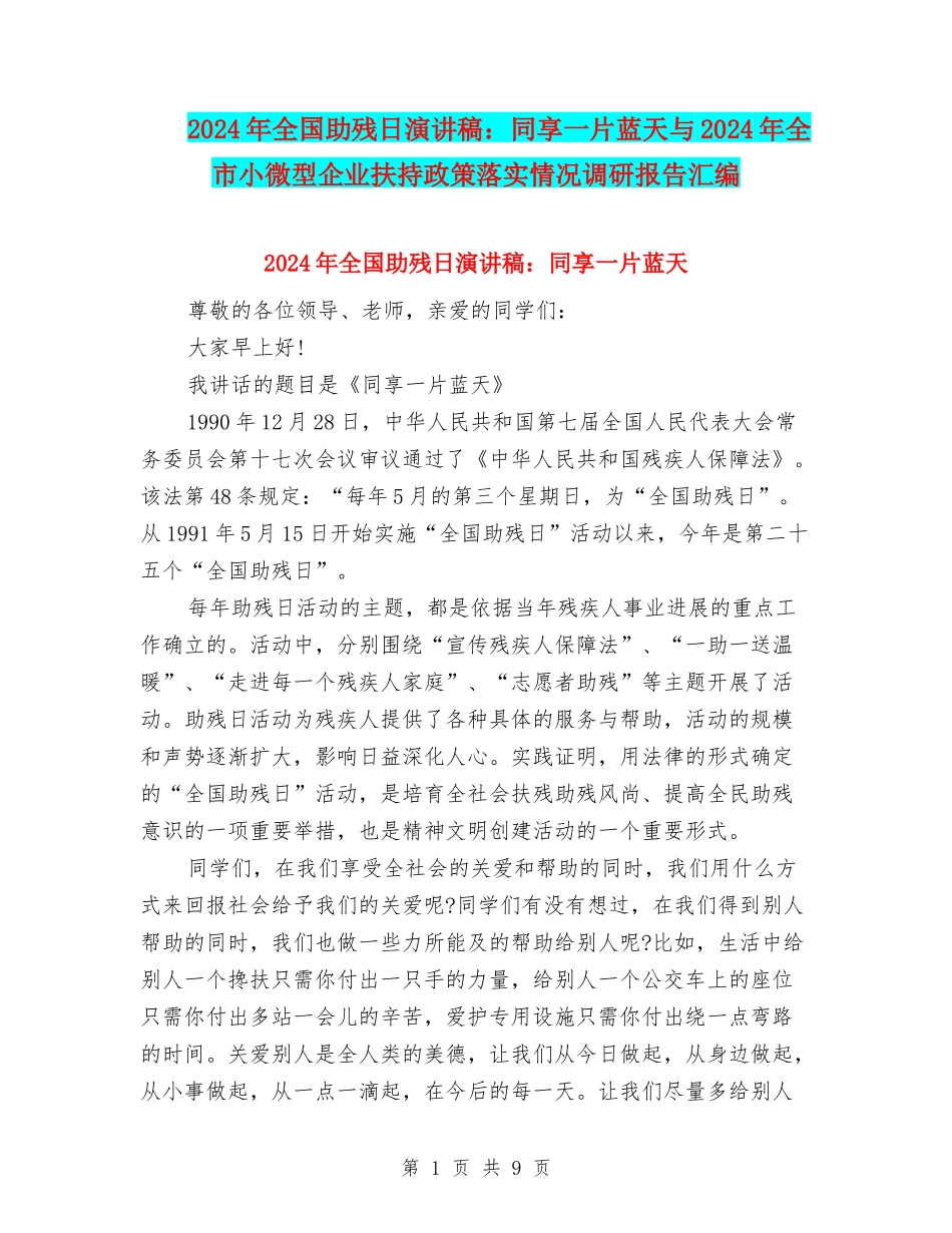 2024年全国助残日演讲稿：同享一片蓝天与2024年全市小微型企业扶持政策落实情况调研报告汇编_第1页