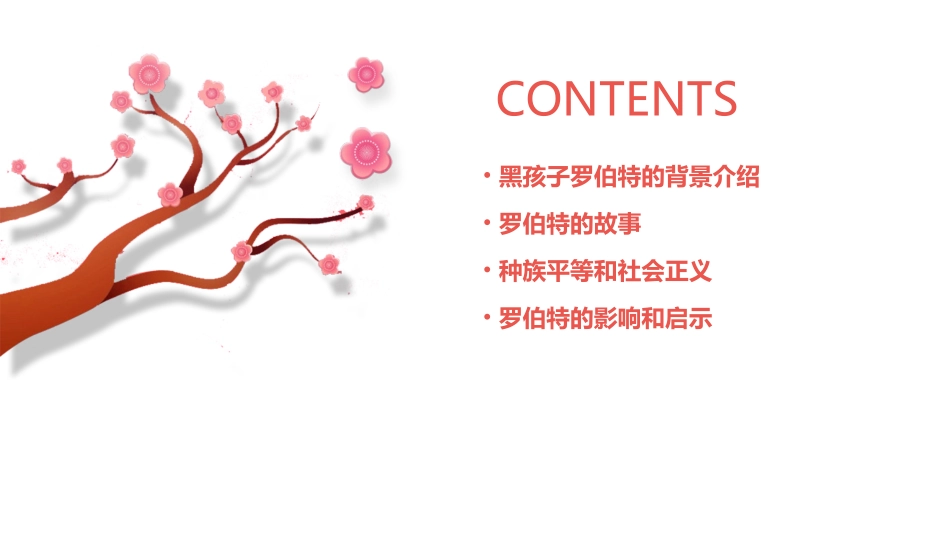 黑孩子罗伯特素材课件_第2页