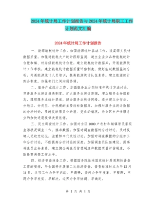 2024年统计局工作计划报告与2024年统计局职工工作计划范文汇编