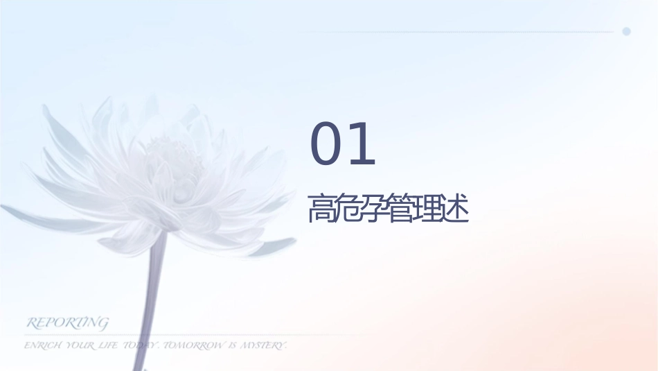 高危孕产妇管理护理课件_第3页