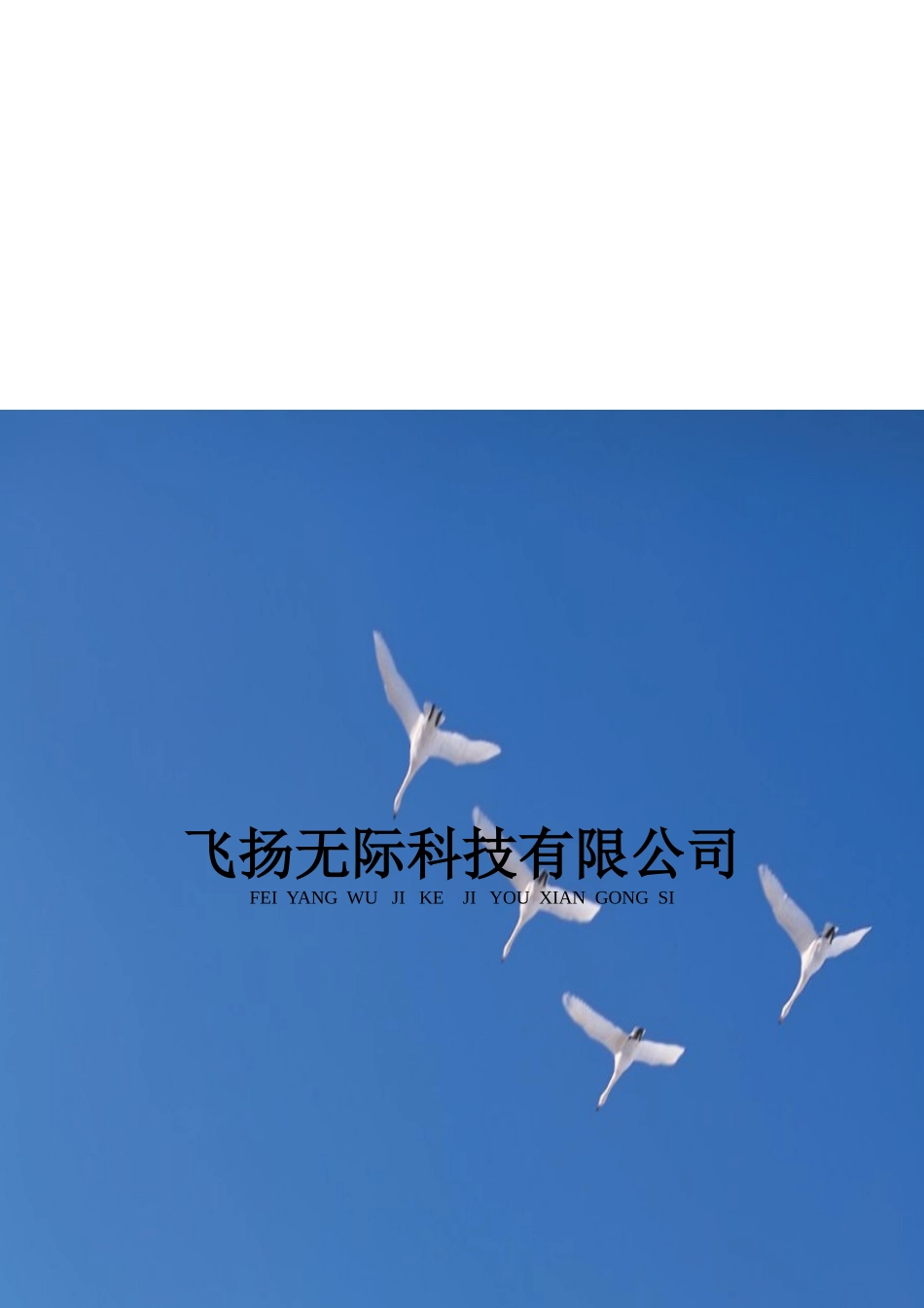 试谈企业战略方案设计_第1页