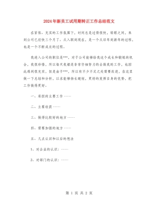2024年新员工试用期转正工作总结范文