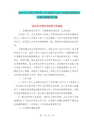 2024年小贷公司年终工作总结与2024年就业促进民生工程自查报告汇编