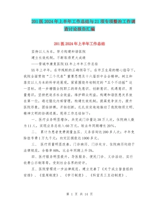 201医2024年上半年工作总结与21项专项整治工作调查研究报告汇编