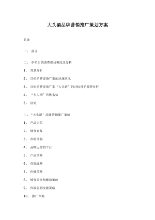 大头酒品牌营销推广策划方案19