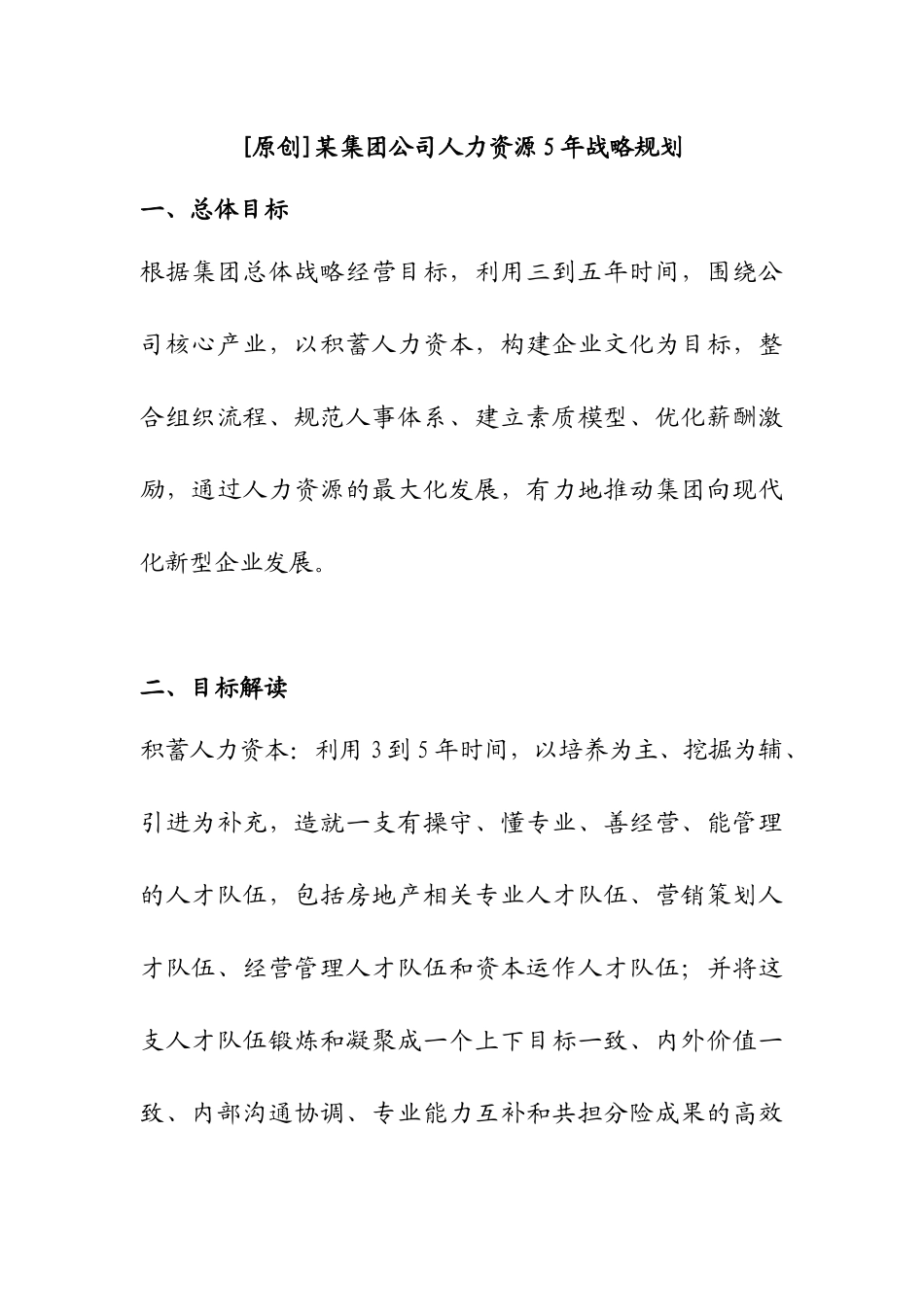 某集团公司人力资源5年战略规划_第1页
