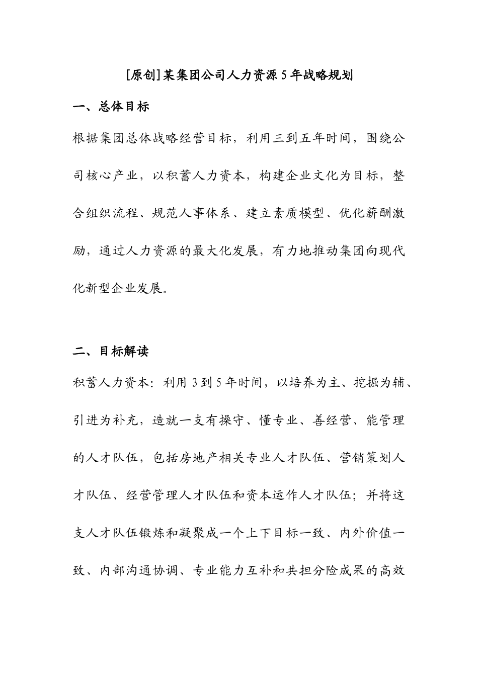某某集团人力资源五年战略规划_第1页