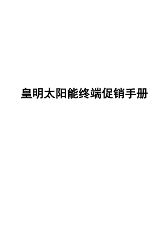促销指导手册