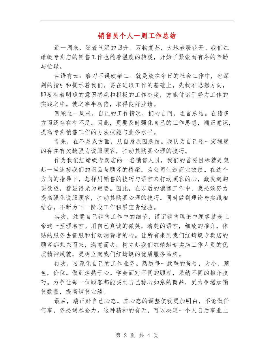 销售员个人一周工作总结_第2页