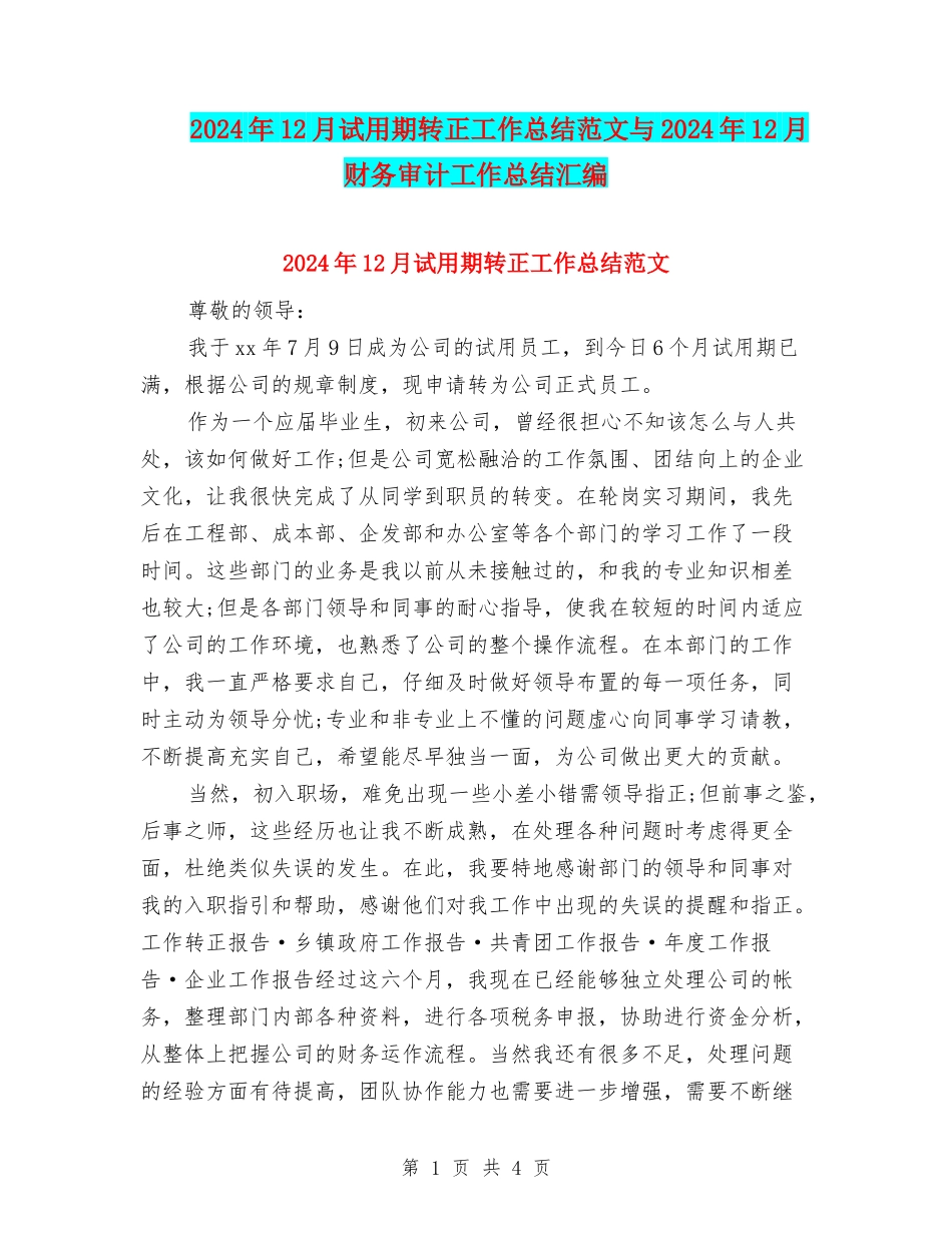 2024年12月试用期转正工作总结范文与2024年12月财务审计工作总结汇编_第1页