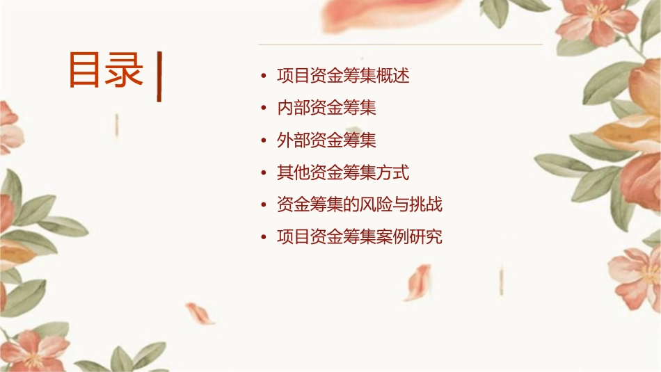 项目资金筹集方式课件_第2页