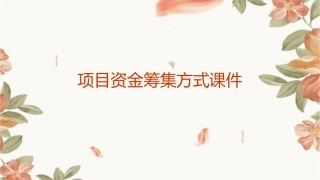 项目资金筹集方式课件