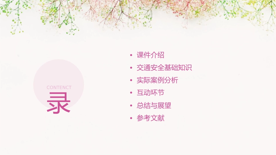 赖村中心幼儿园《交通安全伴我行》课件_第2页