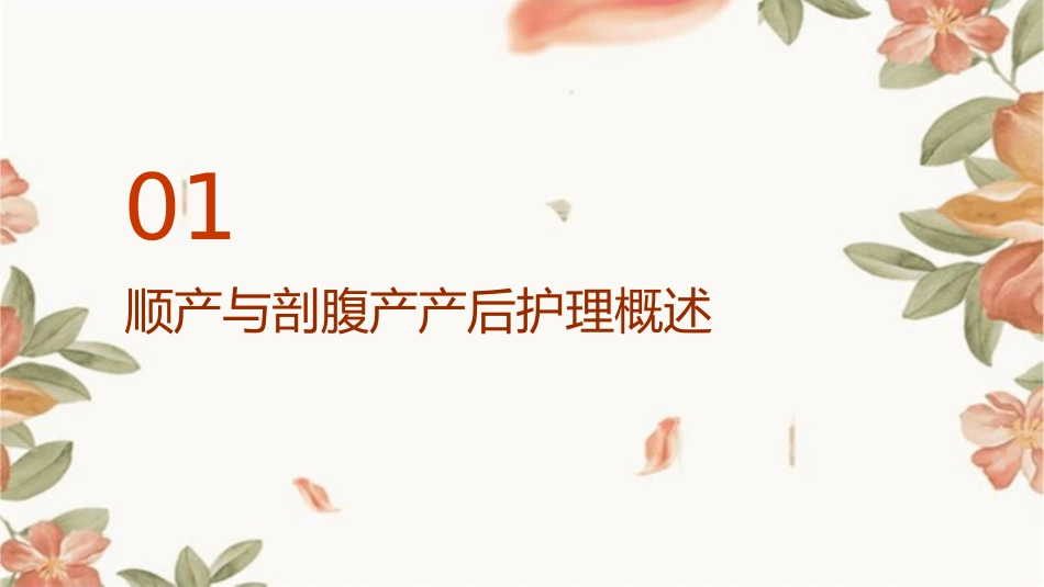 顺产破腹产产后护理课件_第3页