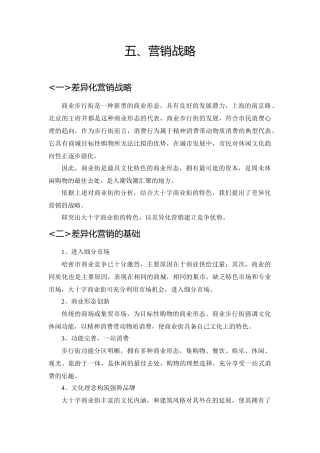 大十子商业街整合营销推广方案下