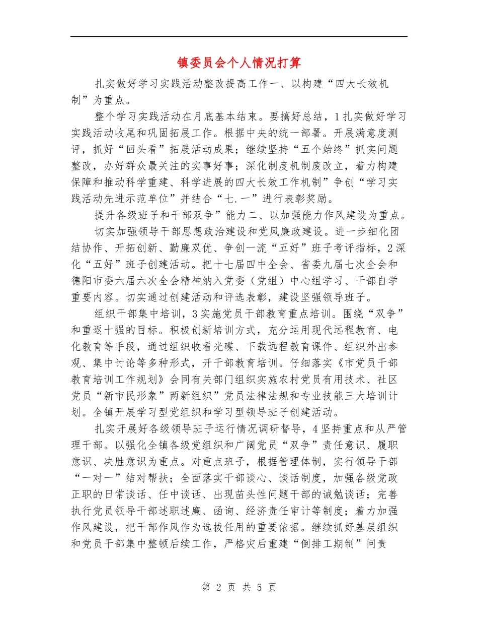 镇委员会个人情况打算_第2页