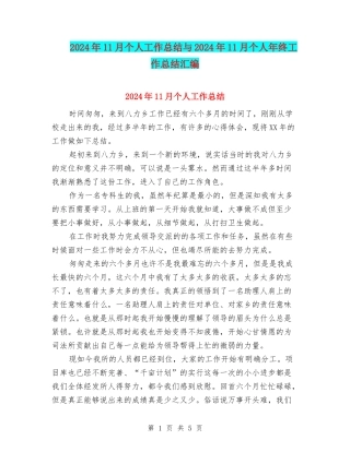 2024年11月个人工作总结与2024年11月个人年终工作总结汇编
