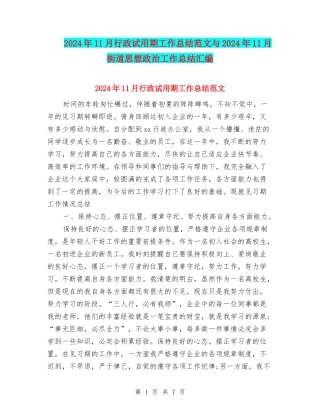 2024年11月行政试用期工作总结范文与2024年11月街道思想政治工作总结汇编