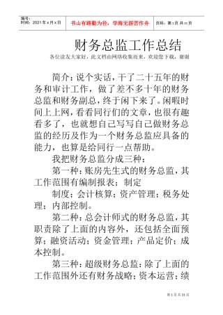 财务总监工作总结(DOC30页)