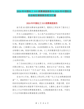 2024年中国化工315消费调查报告与2024年中国妇女社会地位调查报告范文汇编