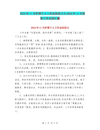 2024年11月护理个人工作总结范文与2024年11月招标工作总结汇编