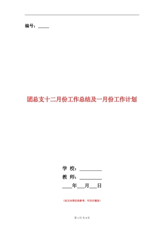 团总支十二月份工作总结及一月份工作计划