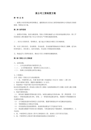 某某公司工资福利制度方案