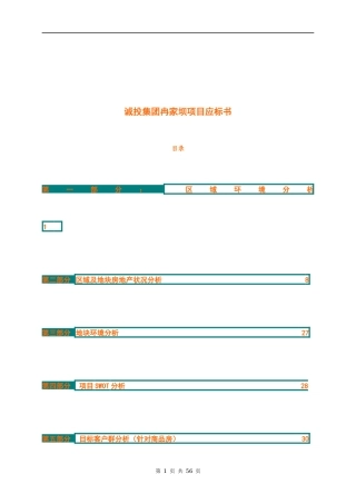 诚投集团冉家坝项目应标书(1)