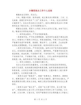 乡镇党政办工作个人总结