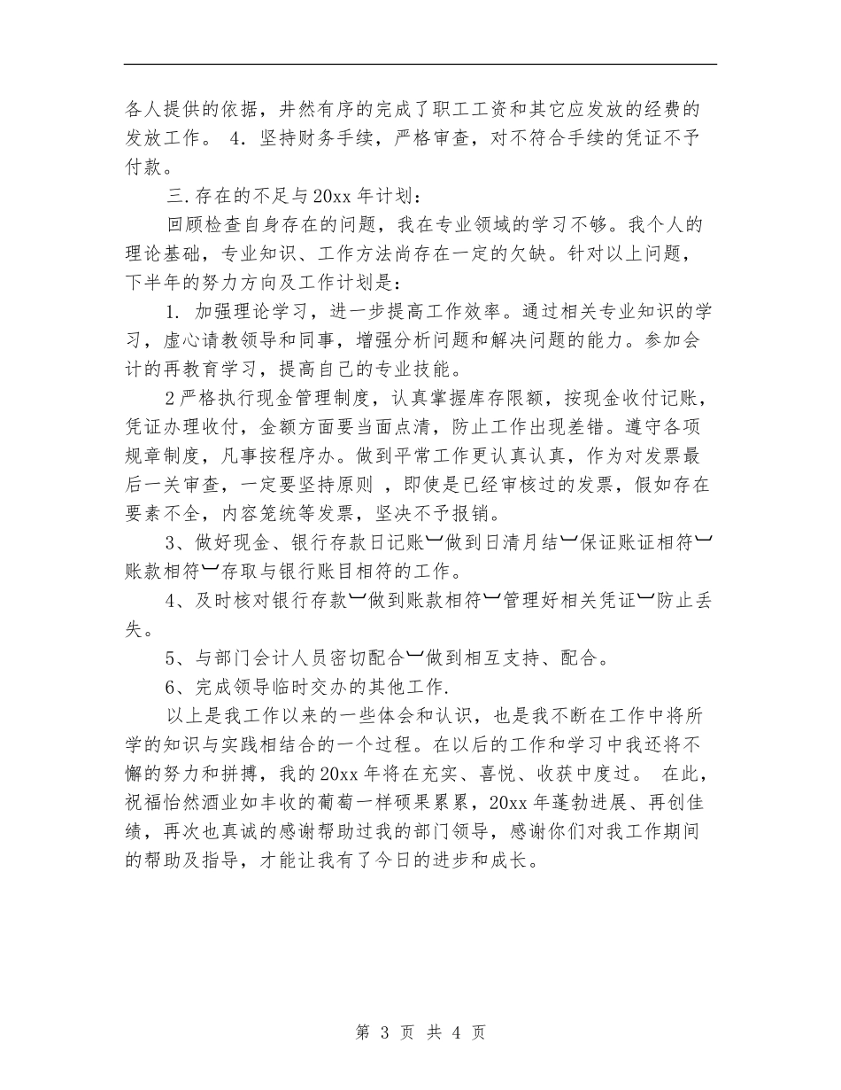 新人出纳工作计划_第3页