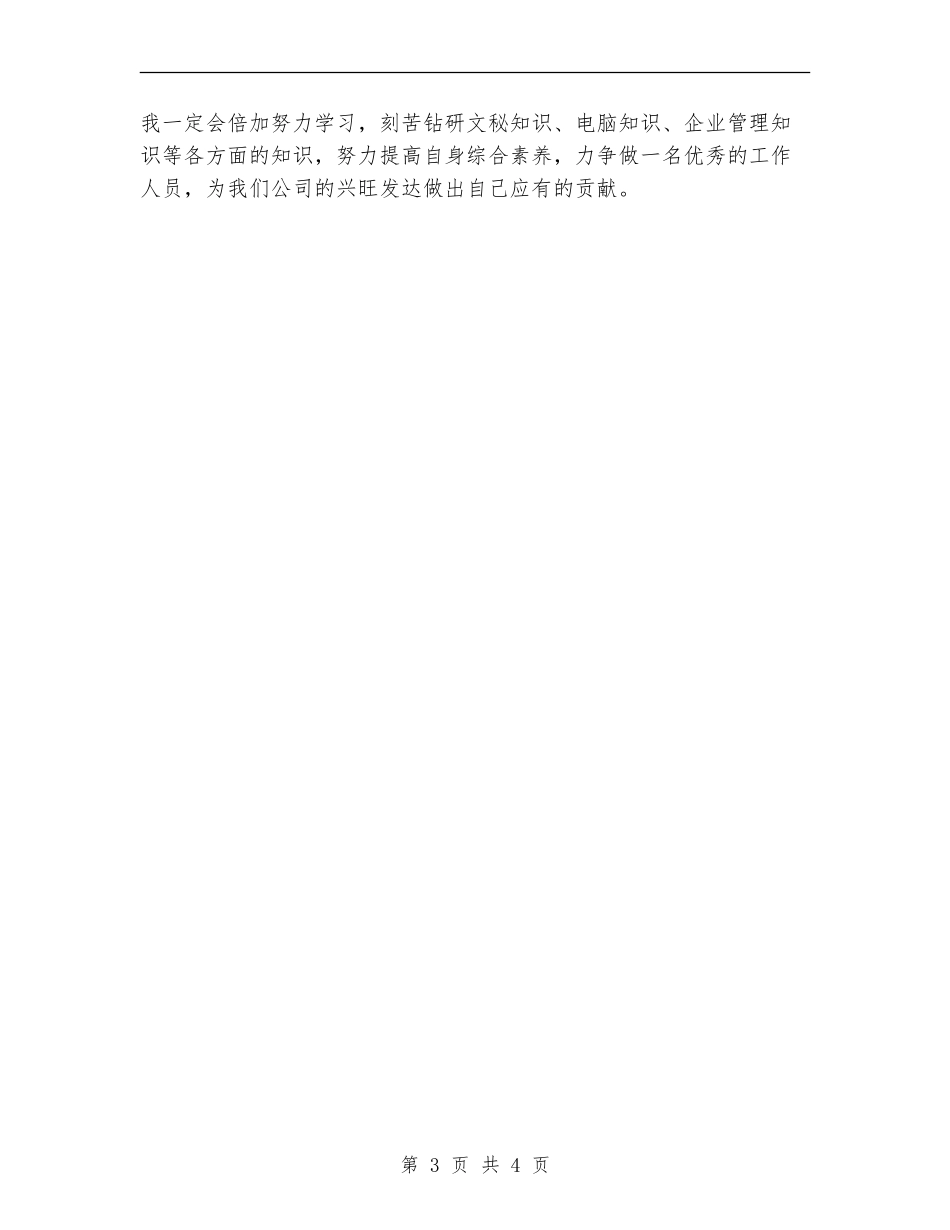 企划试用期工作总结范本_第3页