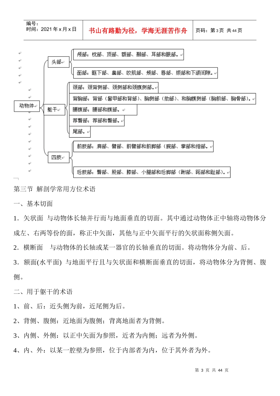 解剖学组织学_第3页