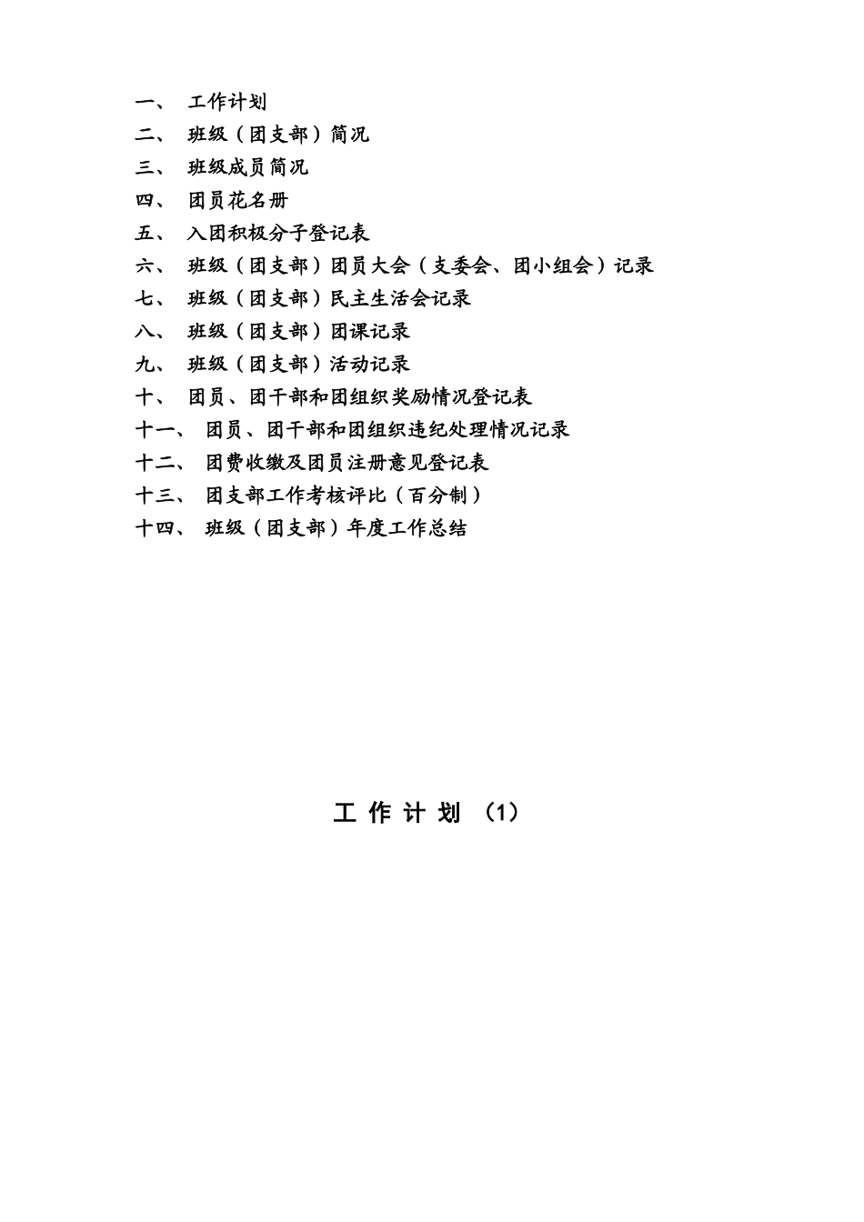 某某学校团支部工作手册_第3页