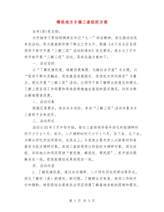 地方乡镇三套组织方案