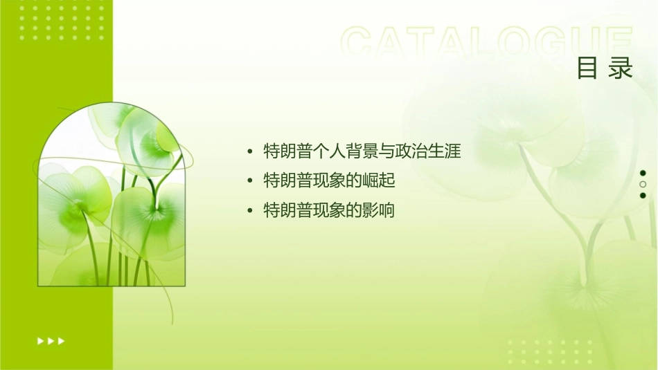 聚焦特朗普现象分析课件_第2页