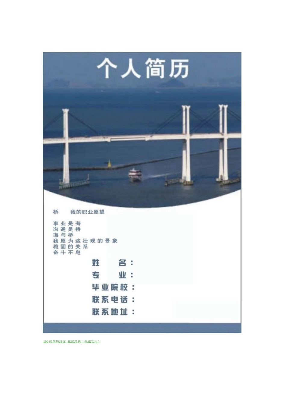 自己制作个人简历的word封皮格式_第1页